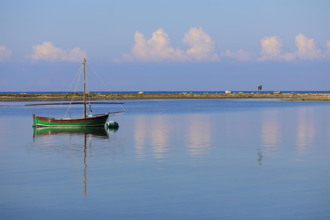 Edonic * Porto Cesareo